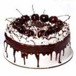 products/500_1259164816.jpg